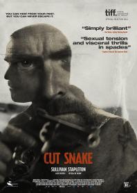 Inlay van Cut Snake