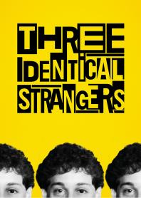 Inlay van Three Identical Strangers