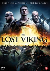 Inlay van The Lost Viking