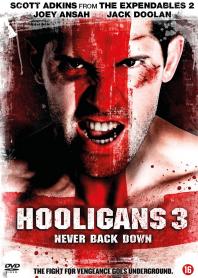 Inlay van Hooligans 3